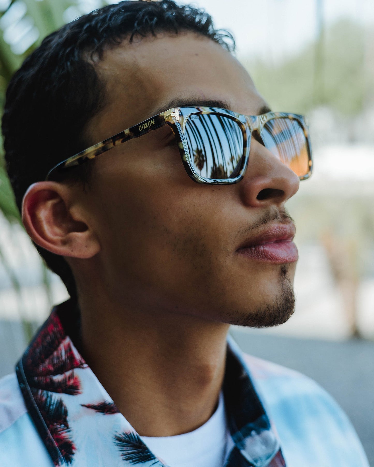 Anvil Sunglasses - Tortoise & Bronze